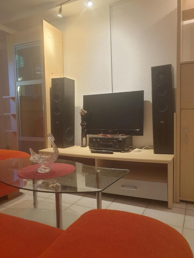 Sions Grosse Ferienwohnung Ferienwohnung Mit 3 Schlafzimmer, 2 Km Bis Zum Europapark Rust Kappel-Grafenhausen Exterior foto